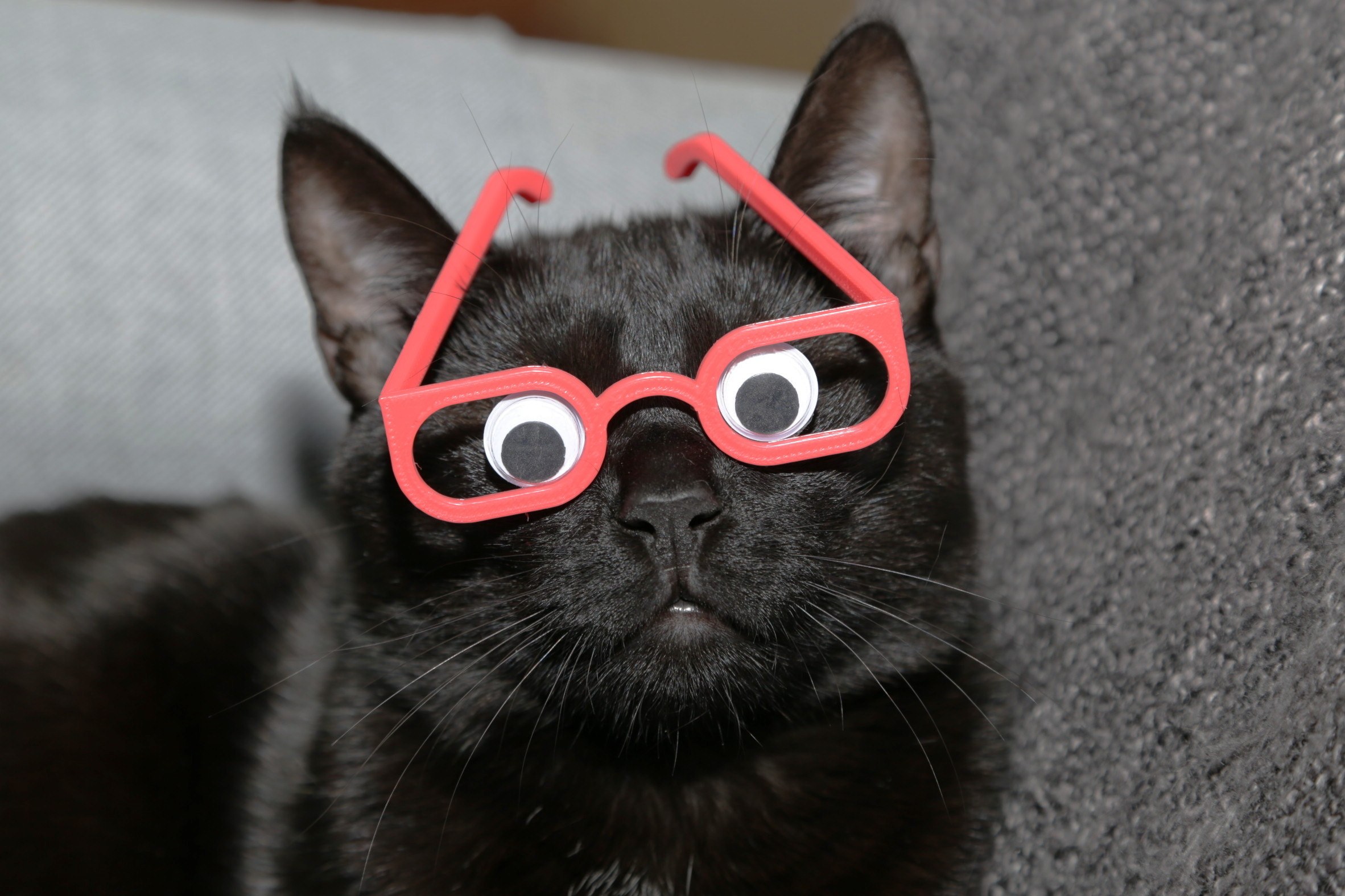 mestre Måned nærme sig 3D-printed breakthrough gives blind cat eyes - Stavros' Stuff